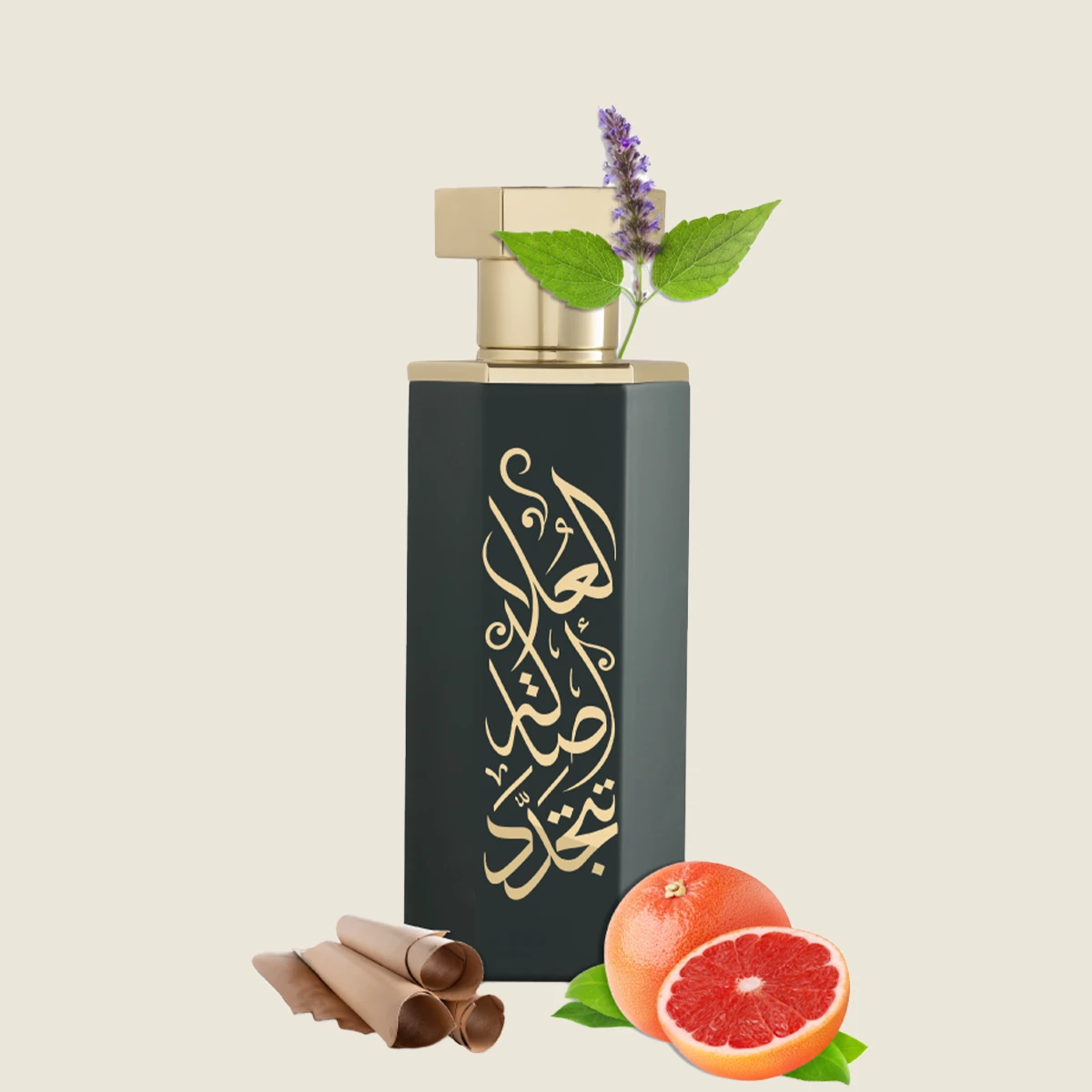 REEF Parfum Arabs of ALULA 100ml